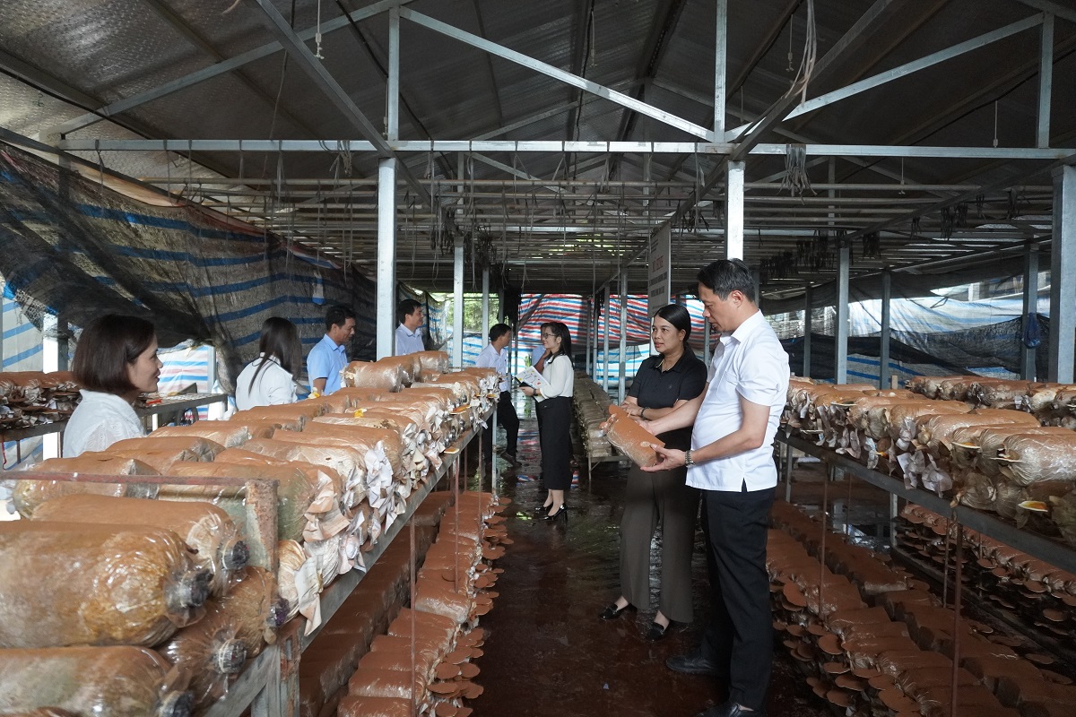 Sở Khoa học và Công nghệ tỉnh Lào Cai kiểm tra cơ sở vật chất kỹ thuật, nhân lực và năng lực tài chính của Trung tâm Khoa học, Công nghệ  và Đổi mới sáng tạo